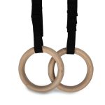Gymnastic Rings