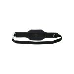 Dip Belt