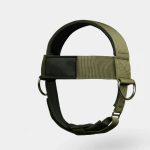 Head Harness