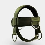 Head Harness